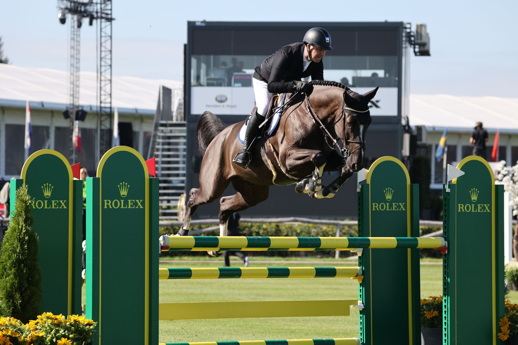 DOMINATOR 2000 Z - OUR CALLING CARD! | Studfarm Zangersheide